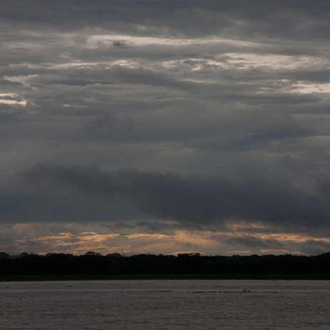AMAZONAS 38 rio mosaico galeria_MG_0037.jpg